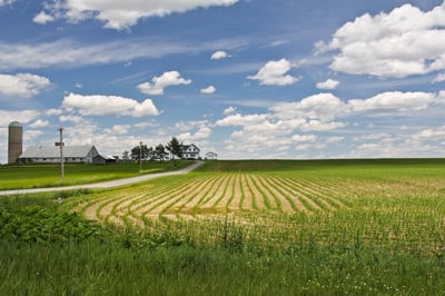 Safeguarding our Food Supply in the Face of Climate Change