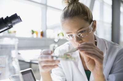 Finding a STEM Career with Impact
