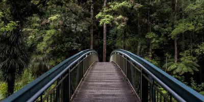 Developing Strategic CSR