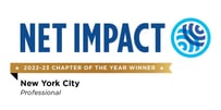 NYC Chapter of the Year 2022-1000-2