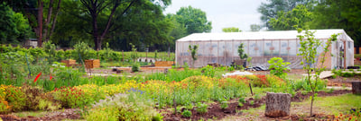 How can businesses address food security and sustainability in our communities?