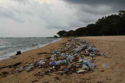 Our Ocean, Our Future, Our Waste