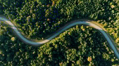 Finding Purpose in a World of Need