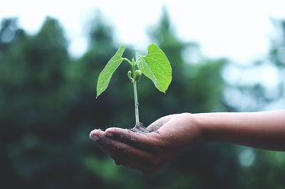 12 of the Best Courses to Bolster Your Sustainability Credentials