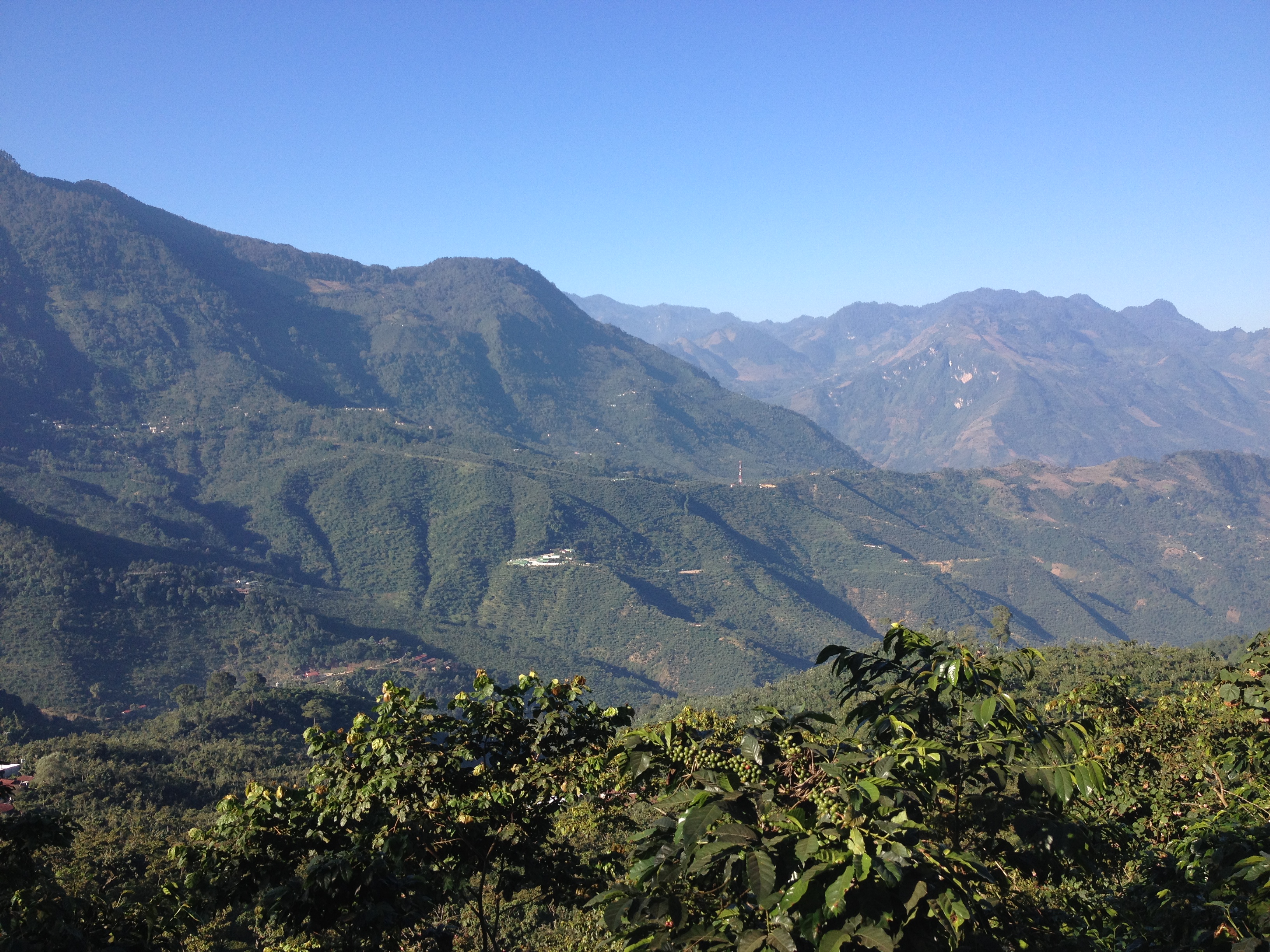 Meriwether Hardie Rainforest Alliance Guatemala