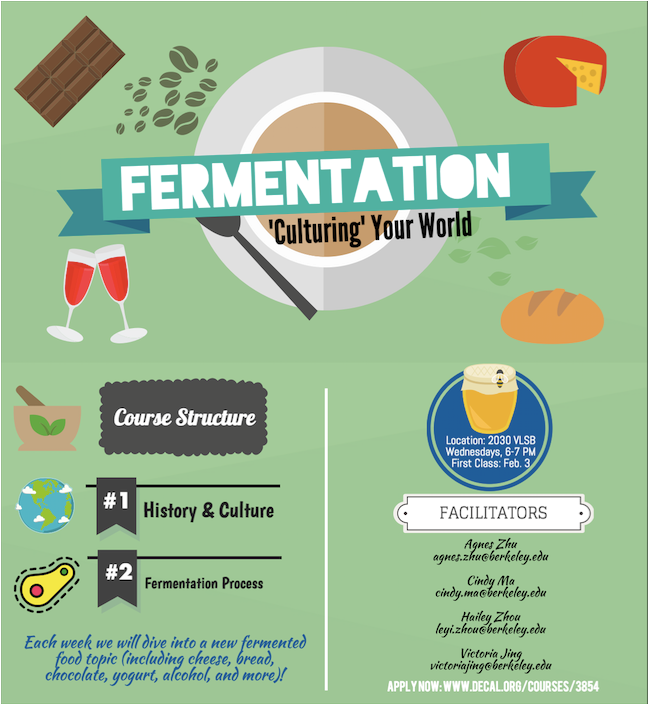 Poster for Fermentation DeCal